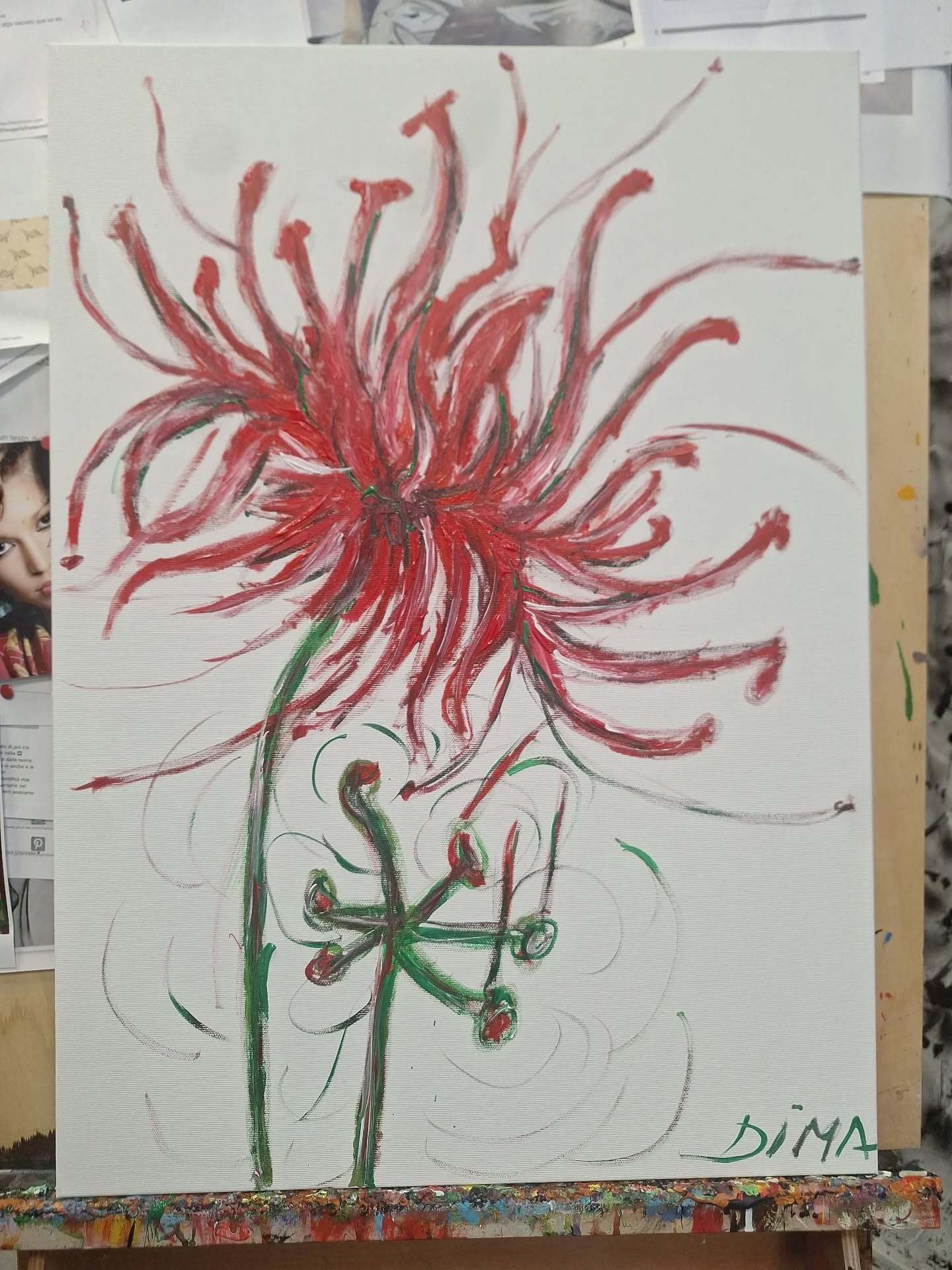 Giglio ragno rosso
